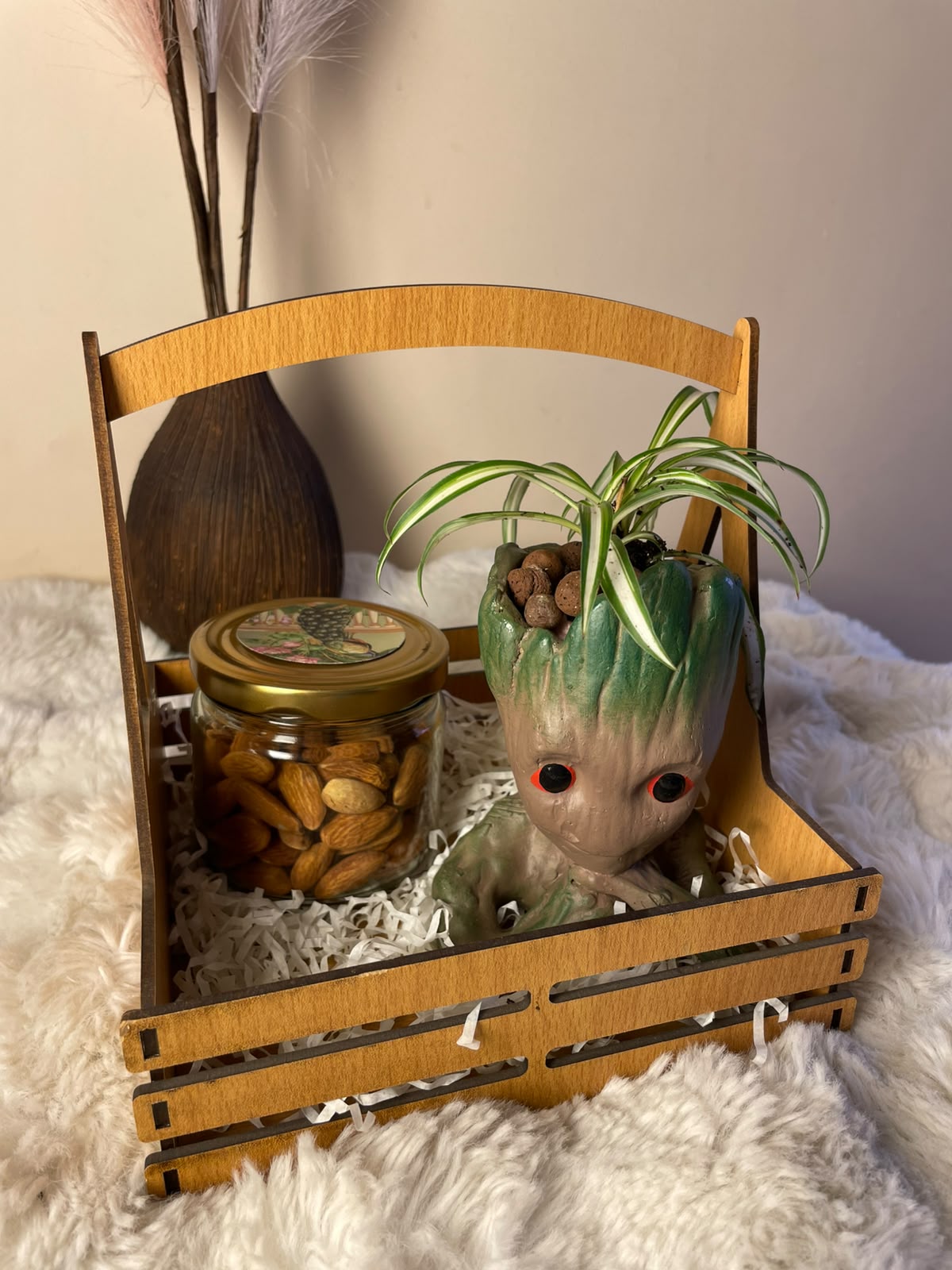 A refreshing gift set combining a green indoor plant with a box of almonds. The combination offers a thoughtful balance of natural greenery and a classic festive treat.