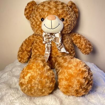 Coco Teddy 
