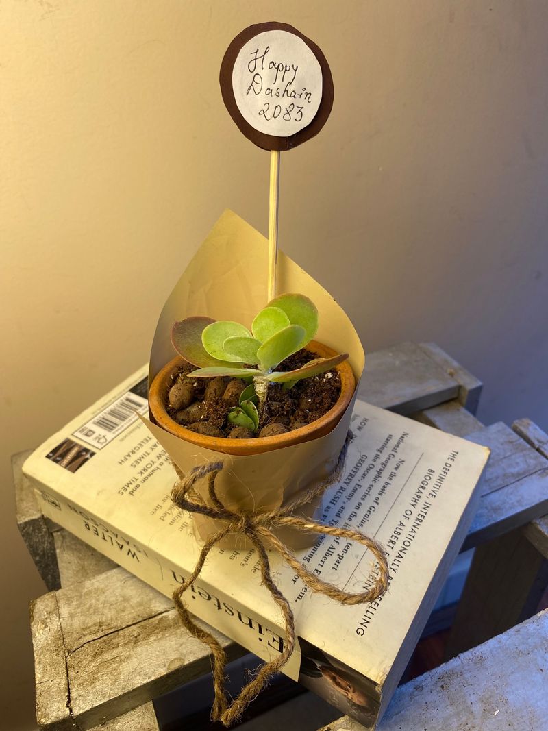 Tiny Nature Gift