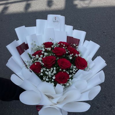 Red Rose Elegance