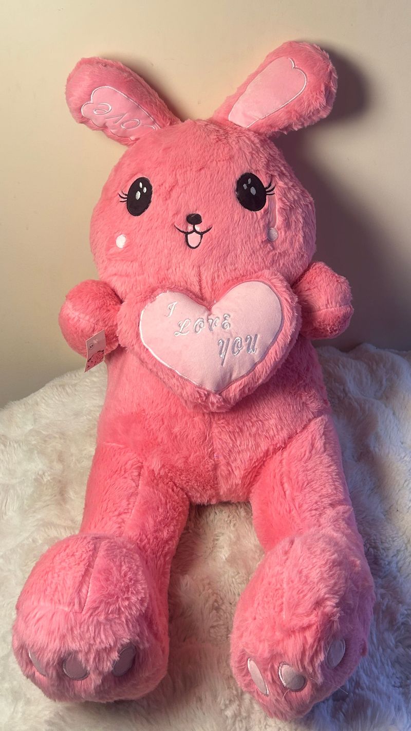 Rabbit  Cuddle Teddy