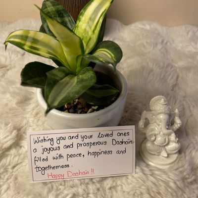 Blessings & Greenery Gift Set