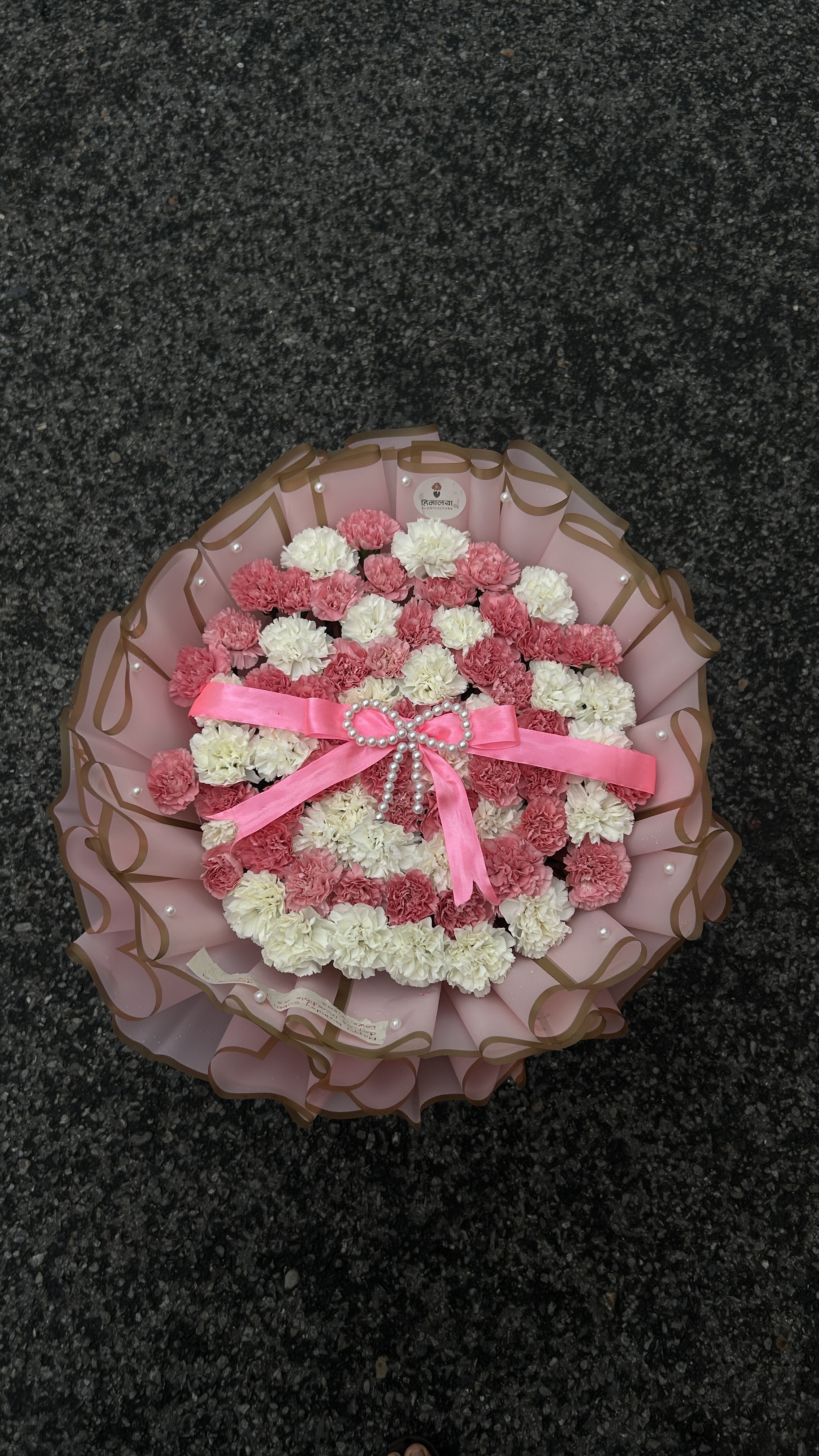 A luxurious bouquet featuring 70 stems of pink and white carnations, beautifully arranged and presented in elegant pink pearl paper packaging. The soft combination of pink and white creates a graceful, sophisticated, and premium appearance.