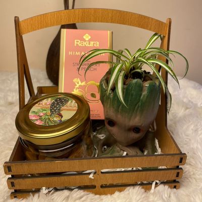 Green Serenity Gift Hamper