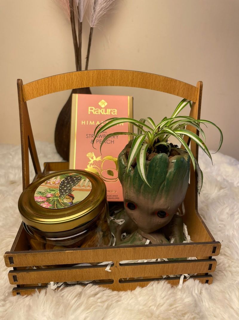 Green Serenity Gift Hamper