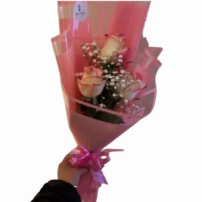 hybrid pink roses 