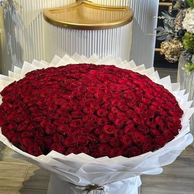 ❤️500 Grand Red Rose Bouquet