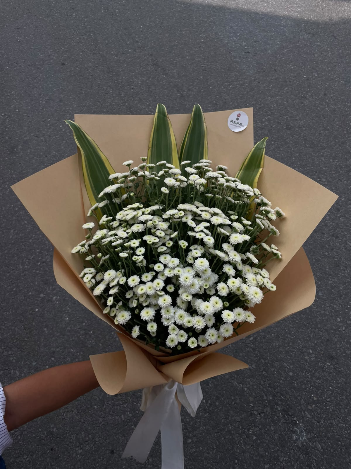 White Daisy Elegance A fresh and elegant bouquet featuring 20 stems of white-bottom daisies, complemented by Dracaena leaves and wrapped in natural brown paper for a simple, earthy finish.