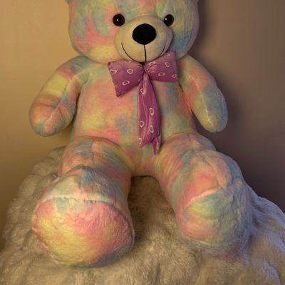 Rainbow Pastel Teddy 