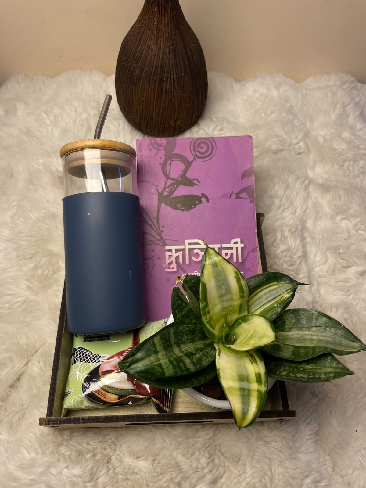 Fresh & Functional Corporate Gift A simple and elegant gift set pairing a glass tumbler with a green indoor plant presented in a beautiful pink ceramic pot.