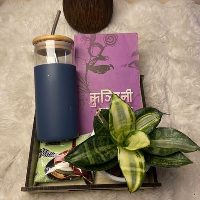 Green Lifestyle Gift Set