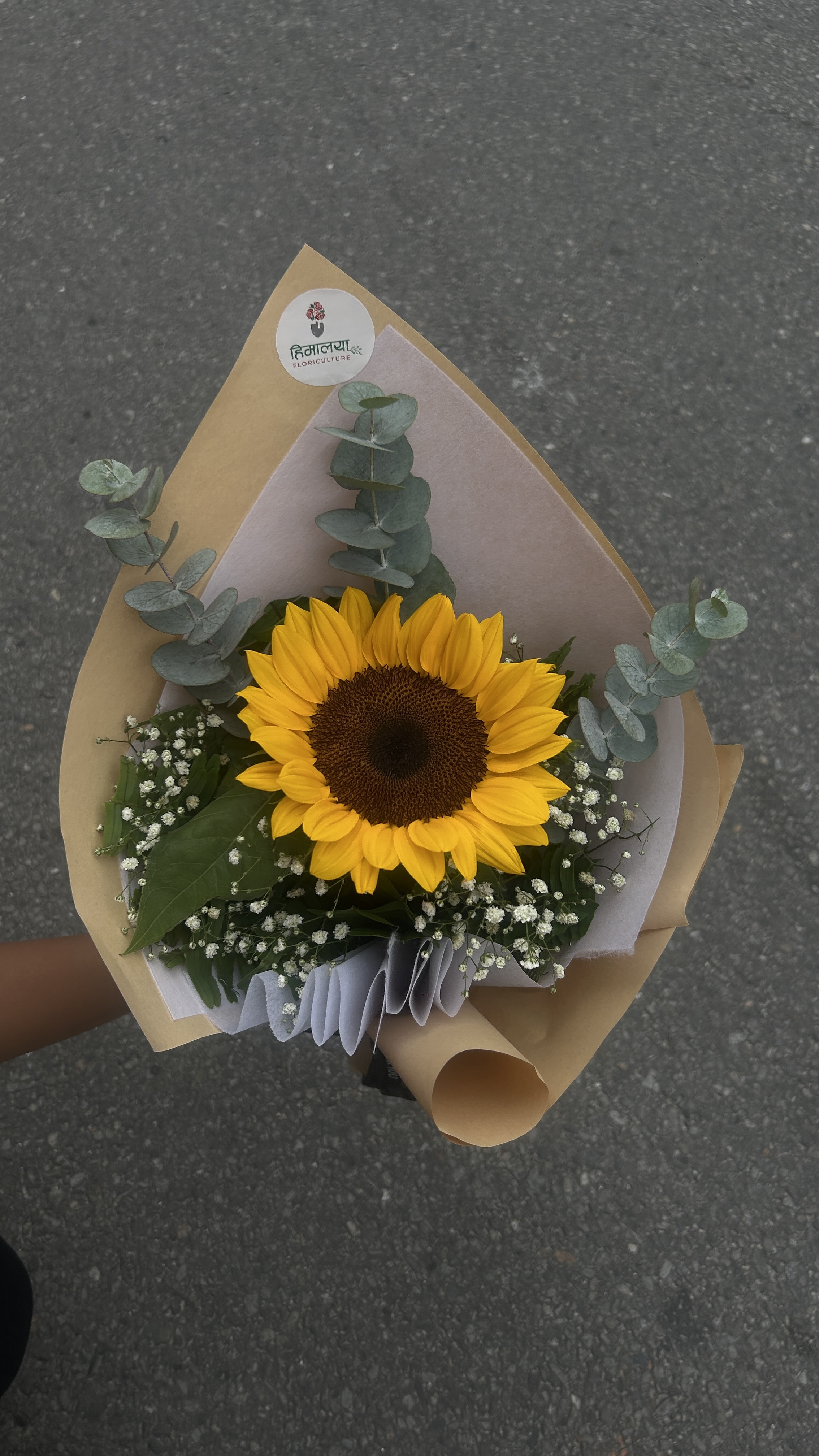 A simple yet cheerful bouquet featuring one bright sunflower, complemented by dollar leaves and gypsophila (baby's breath), wrapped in white and brown paper for a clean, natural look.