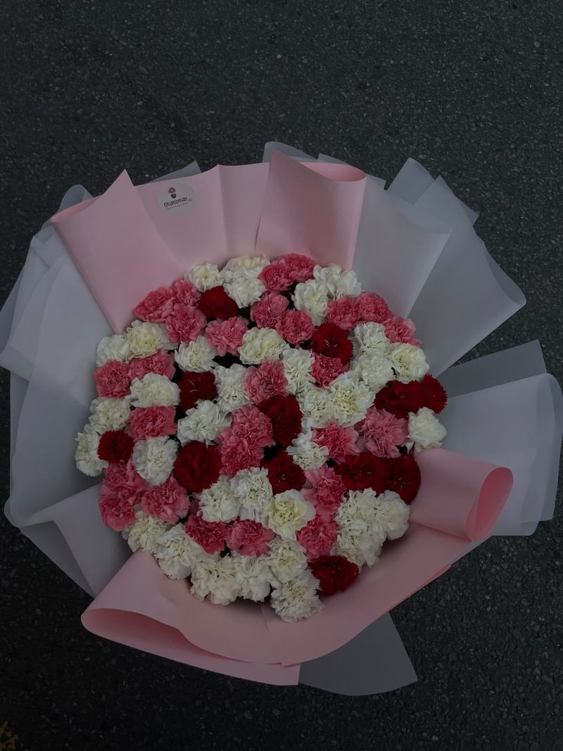 Premium Mixed Carnation Bouquet