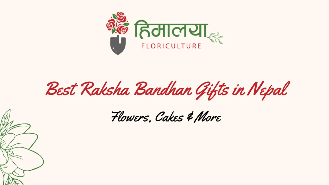 best-raksha-bandhan-gifts-in-nepal-flowers-cakes-and-more.png