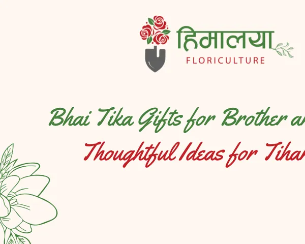 bhai-tika-gifts-for-brother-and-sister.png