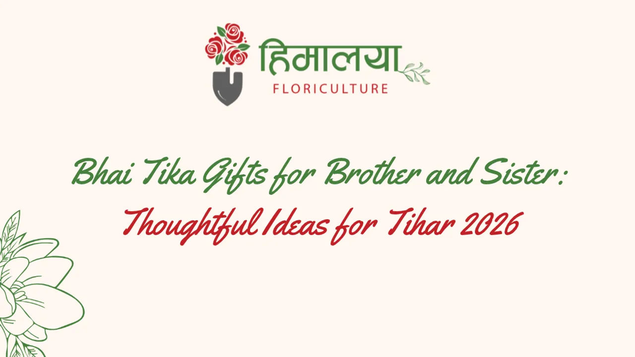 bhai-tika-gifts-for-brother-and-sister.png