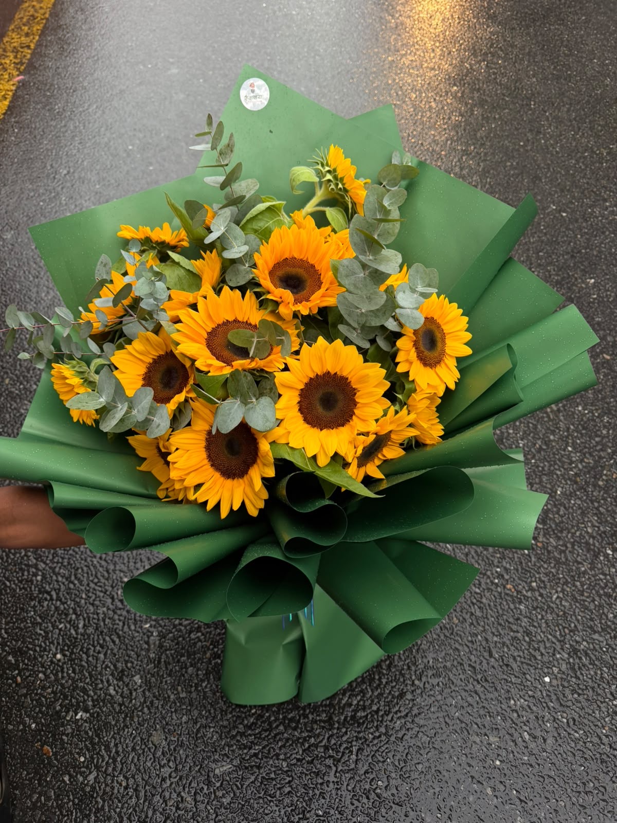 A stunning arrangement featuring 20 fresh sunflowers, beautifully designed with lush green foliage and finished in an elegant green wrapper. The vibrant yellow blooms create a cheerful and eye-catching presentation, making it perfect for birthdays, congratulations, anniversaries, and grand celebrations.