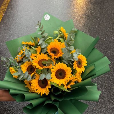 Premium Sunflower Elegance🌻