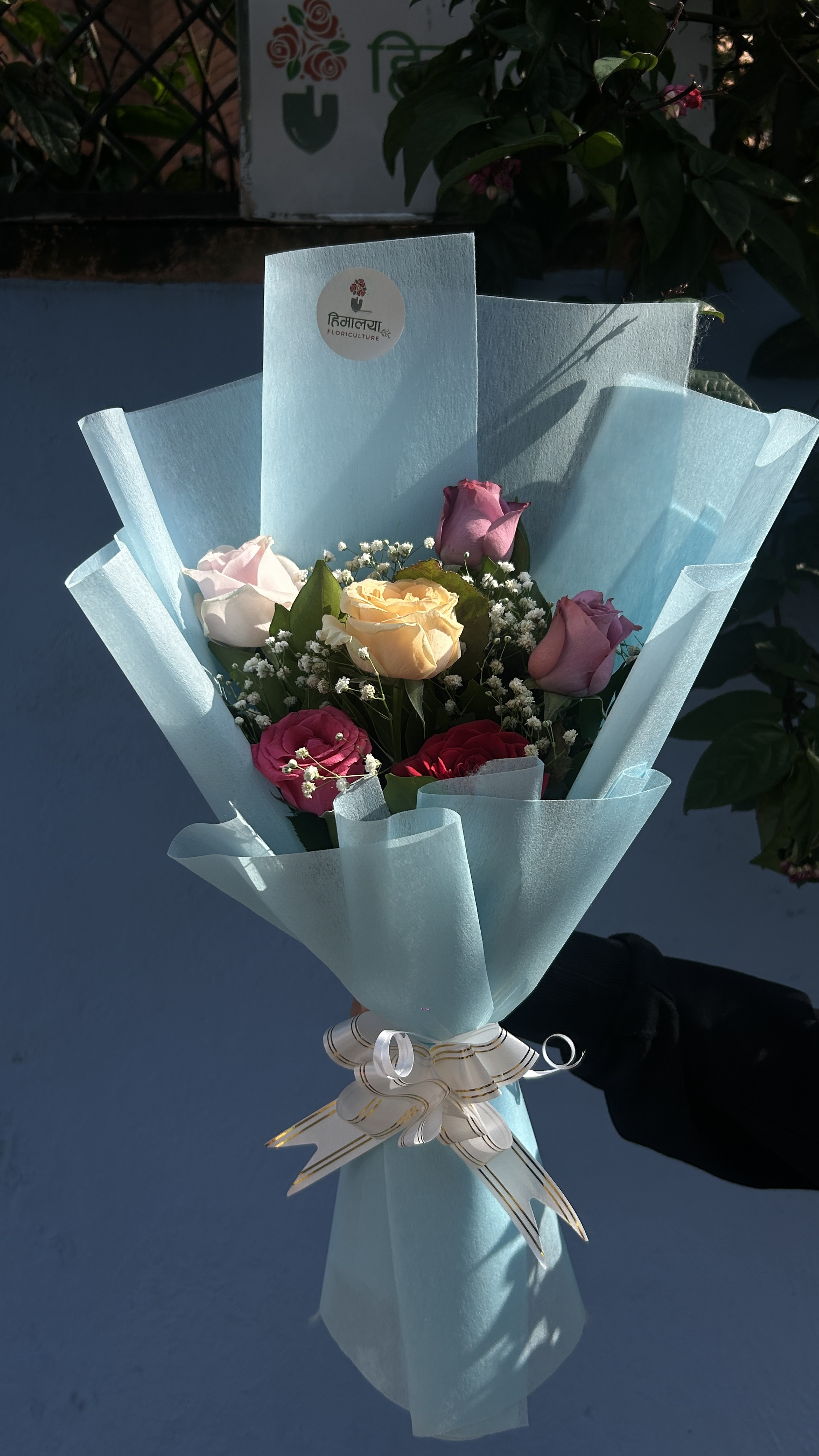 Colorful Rose Mini Bouquet A cute and colorful bouquet featuring six roses in pastel pink, purple, red, hot pink, and yellow. This lovely mix of colors creates a cheerful arrangement for a simple yet meaningful gift.