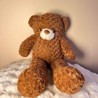 Coco Teddy 