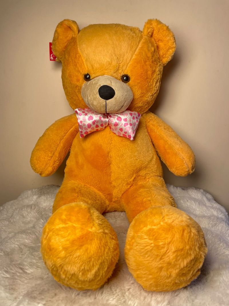 Golden Honey Teddy