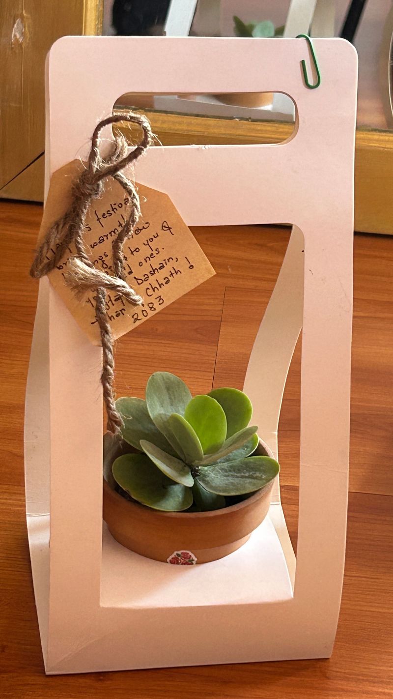 Corporate Plant