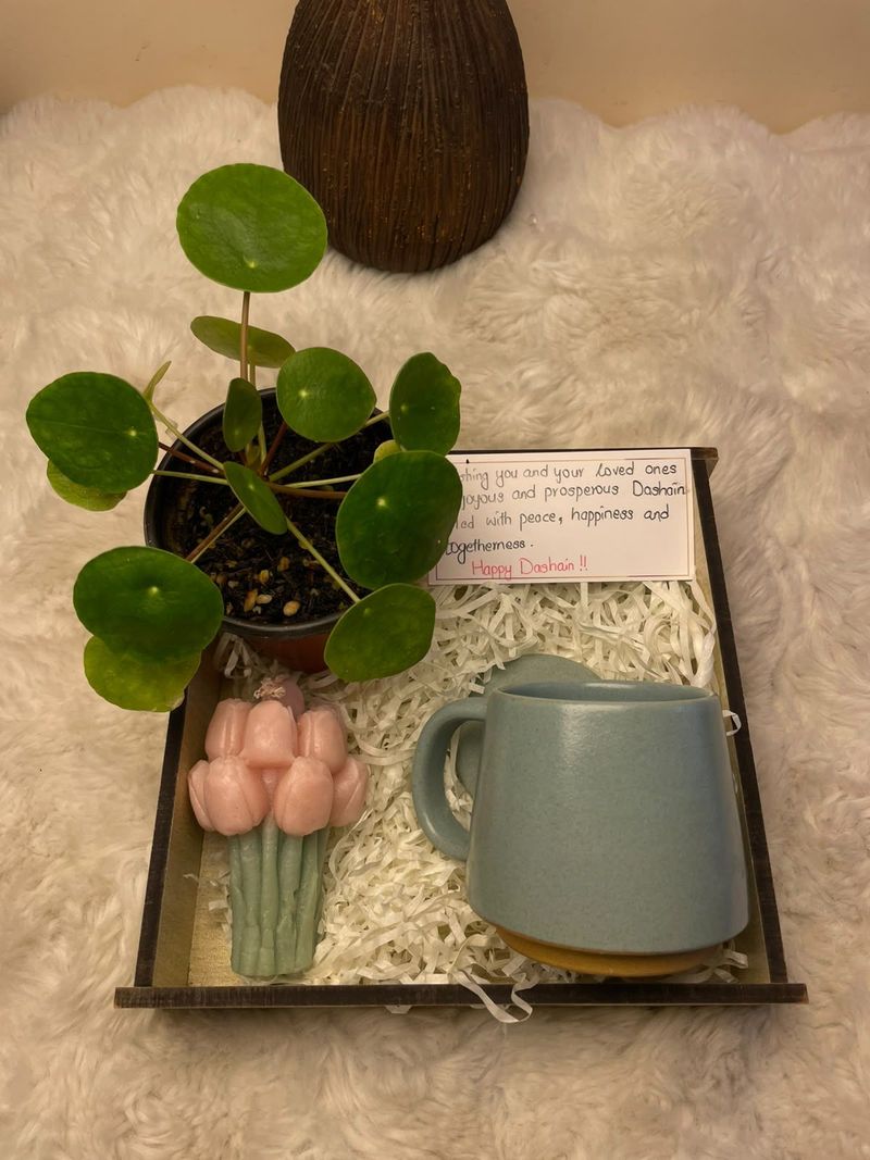 Calm & Comfort Festive Hamper