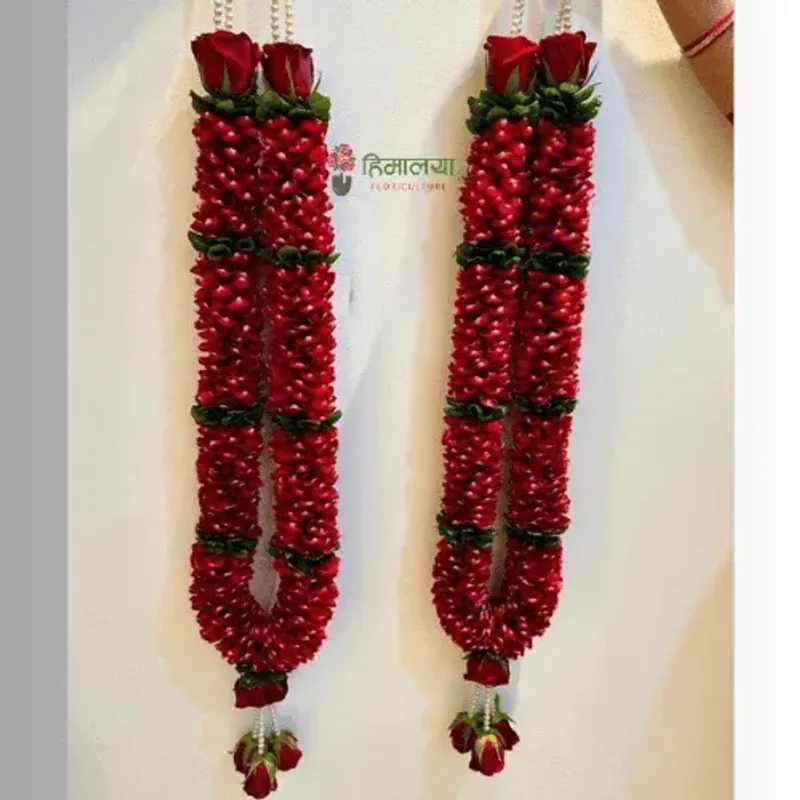 Lavish Love Varmala ❤️