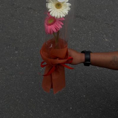 Charming Gerbera and Rose Hand Bouquet