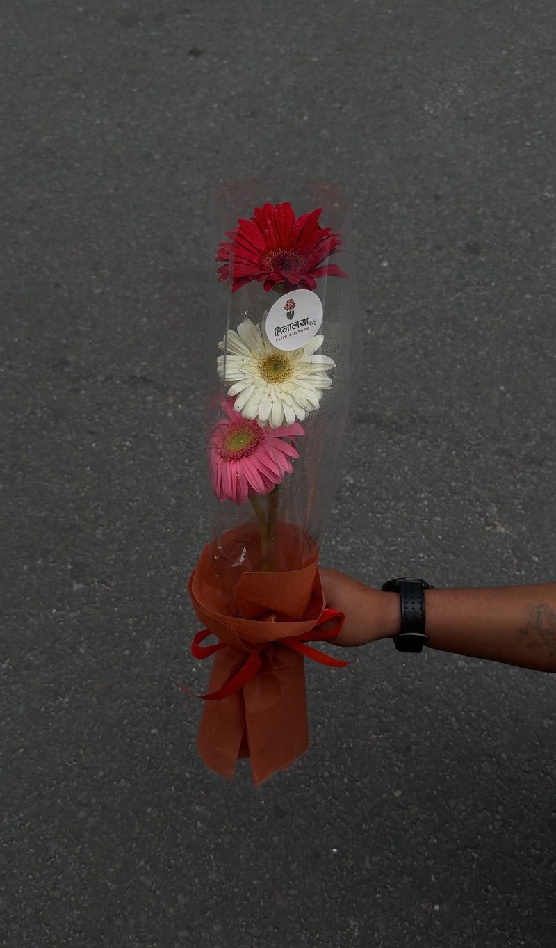 Charming Gerbera and Rose Hand Bouquet