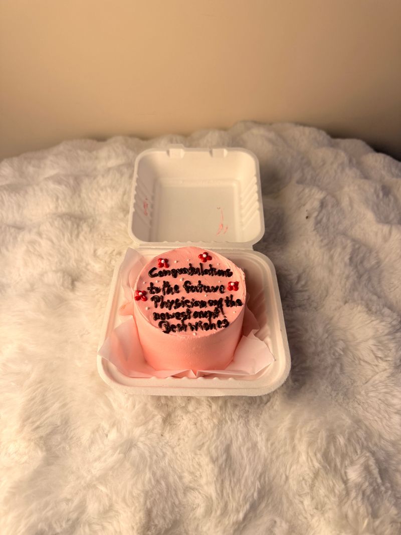 Charming Pink Bento Celebration Cake