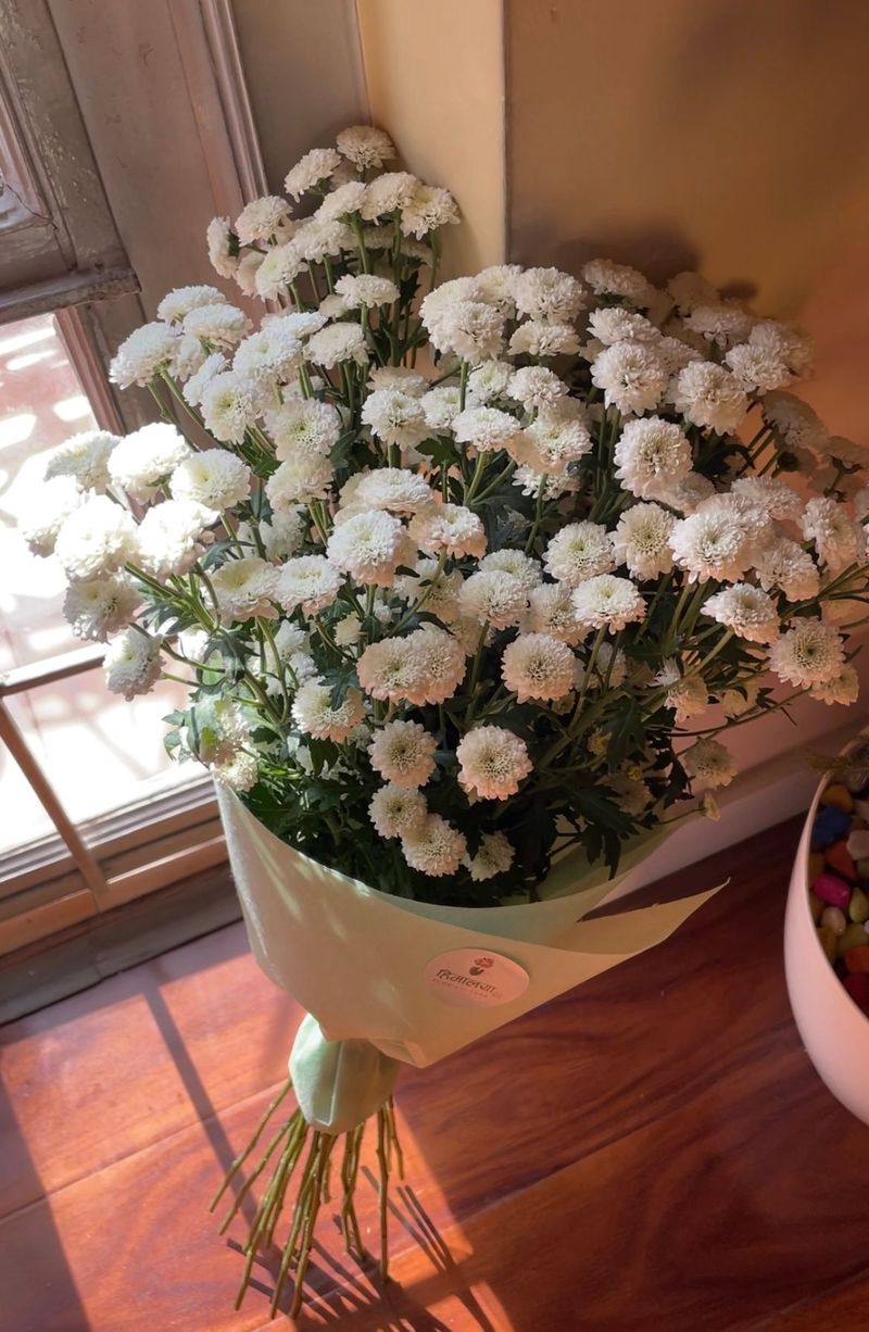 "Sunny Daisy Delight"(Bottom Daisy)