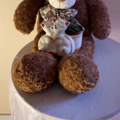 Teddy & Green Hug Combo 🌿🧸