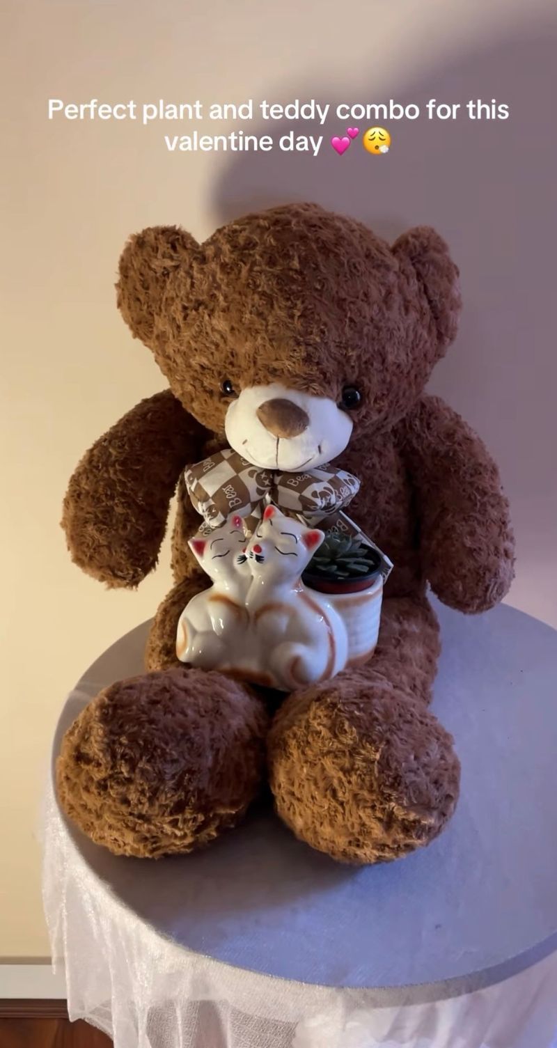 Teddy & Green Hug Combo 🌿🧸