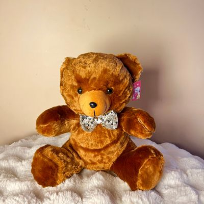 Puppy Teddy 