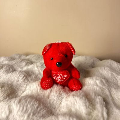 Teddy Kins