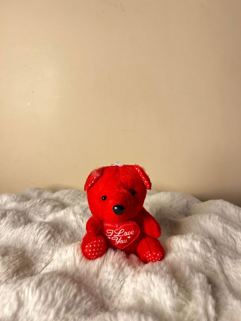 Teddy Kins