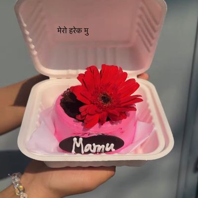 Blooming Red Gerber Bento Cake