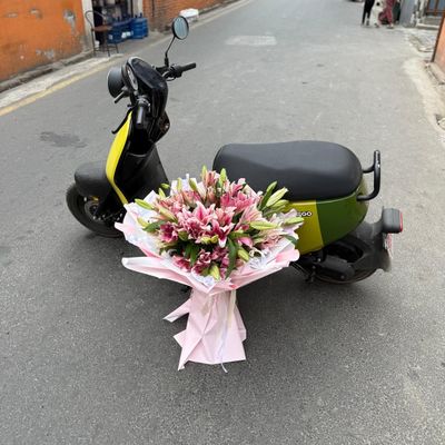 Pink Stargazer Lily Grande Bouquet 🌸✨