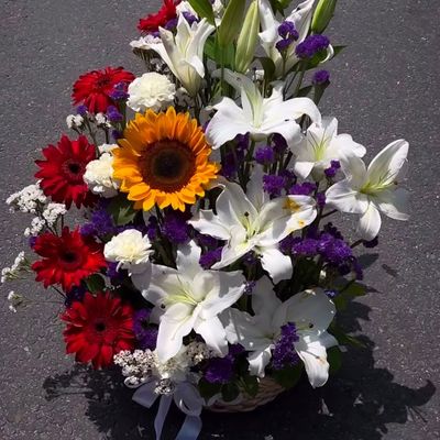 Harmony of Blooms Basket 🌸🌻🤍