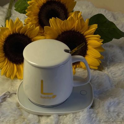 Warmth Mug Set 🌻☕