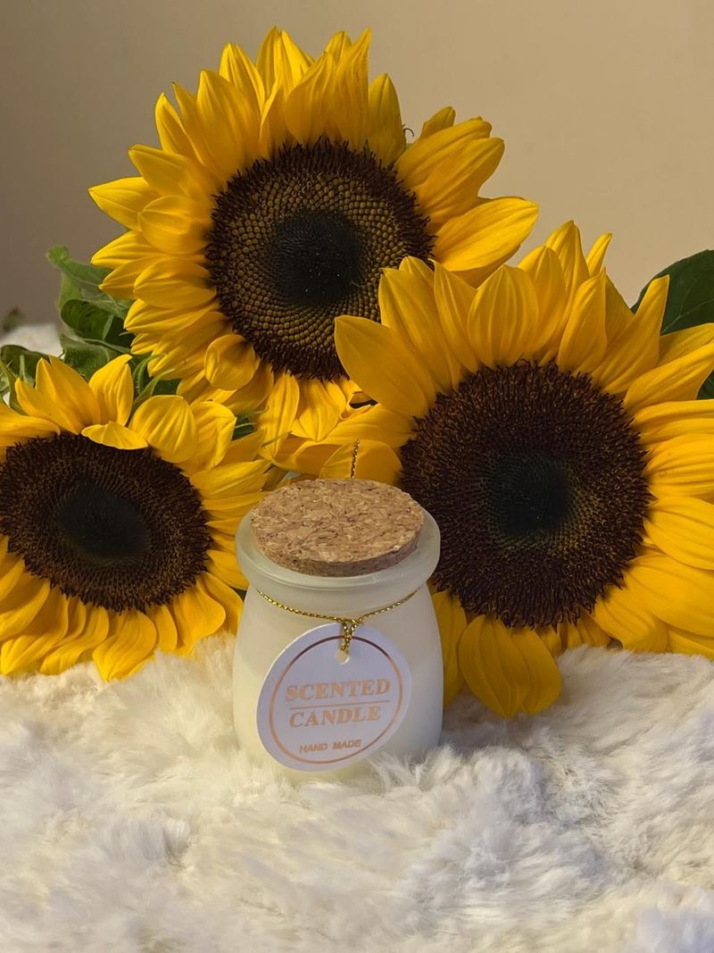 Bring the sunshine indoors