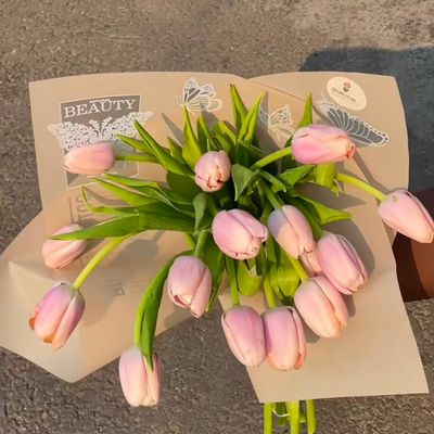 Spring Awakening Pink Tulips