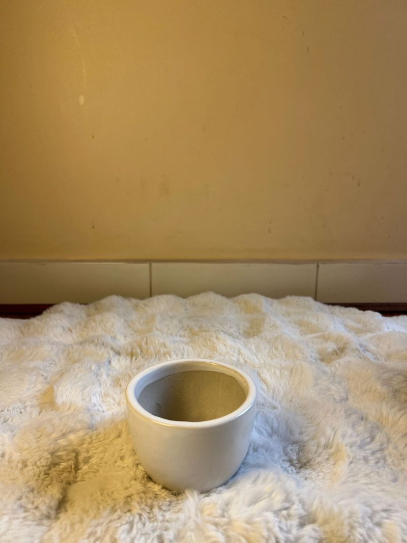 Minimalist Ceramic Mug Pot