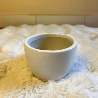 Off-White Mug Planter