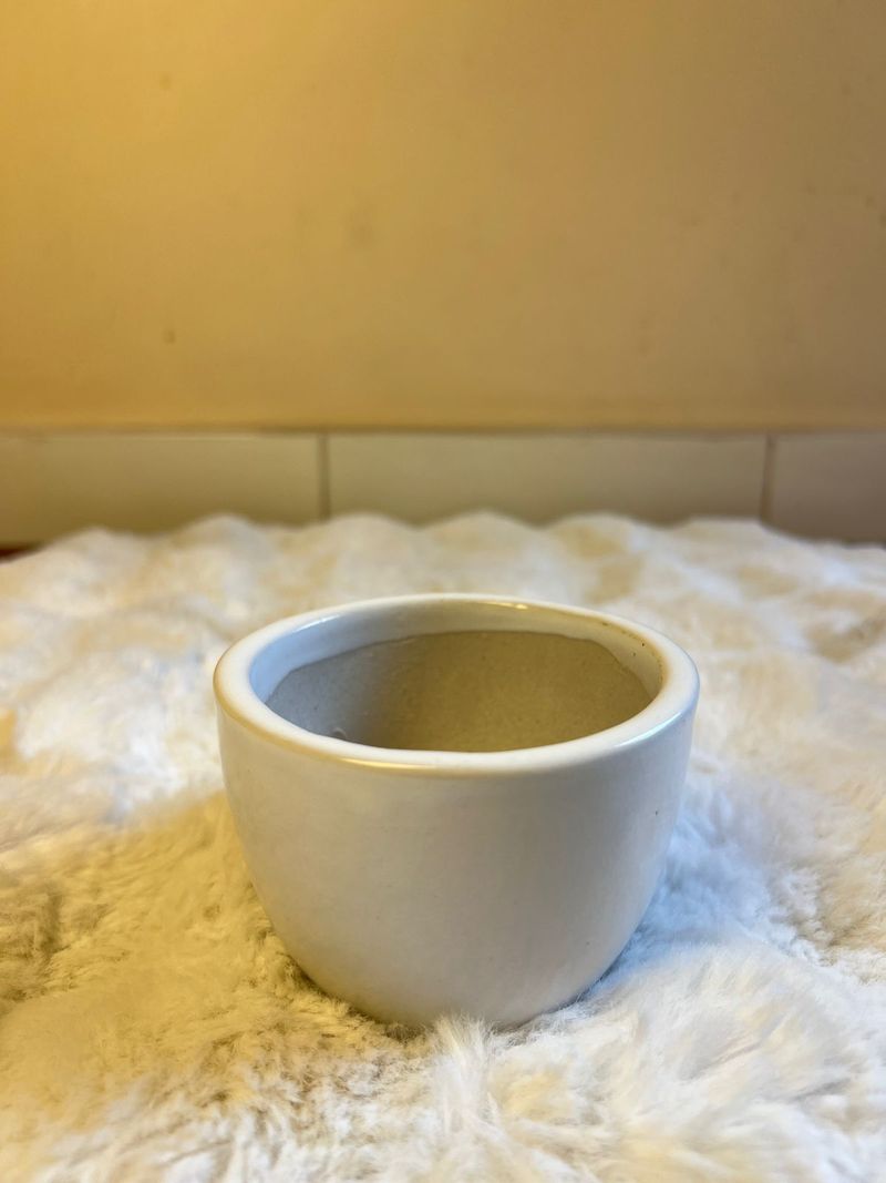 Off-White Mug Planter