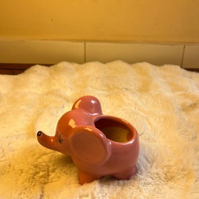 elephant-shaped mini planter,