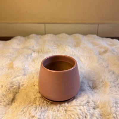 Modern Pastel Ceramic Planter