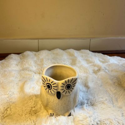 Spotted Owl Ceramic Planter