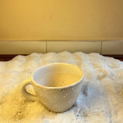 Saucer Ceramic Planter Set